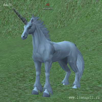 Unicorn