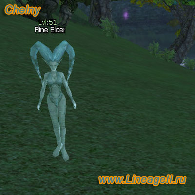 Fline Elder