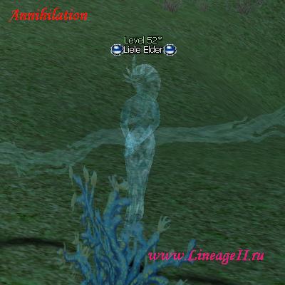 Liele Elder