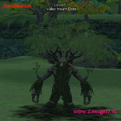 Valley treant Elder