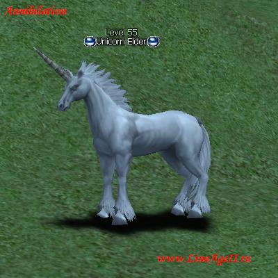 Unicorn Elder