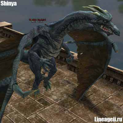 Weird Drake