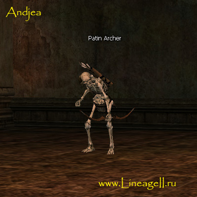 Patin Archer