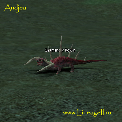 Salamander Rowin