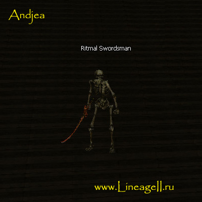 Ritmal Swordsman
