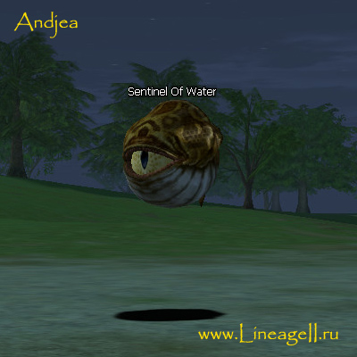 Sentinel Of Water