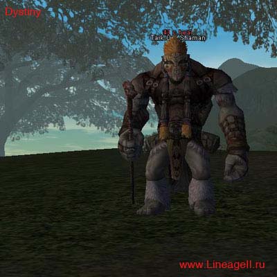 Taik Orc Shaman