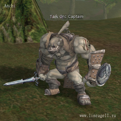 Taik Orc Captain