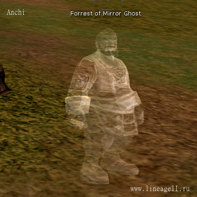 Forest of Mirrors Ghost