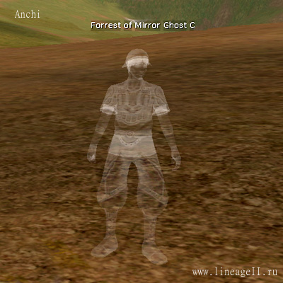 Forest of Mirrors Ghost