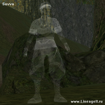 Forest of Mirrors Ghost