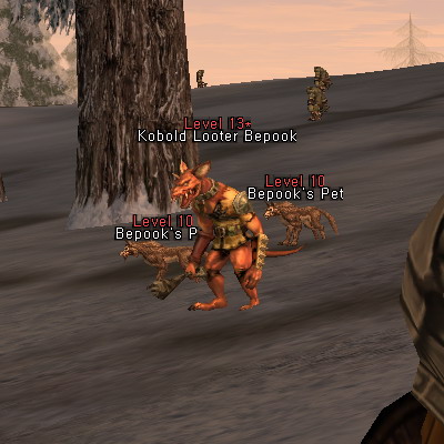 Kobold Looter Bepook