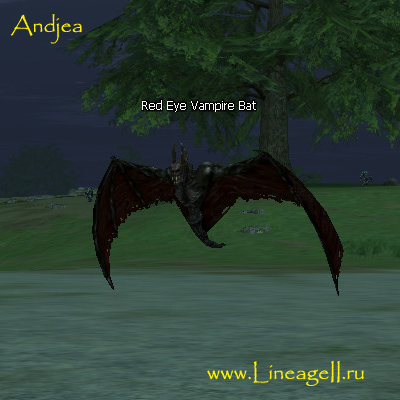 Red Eye Vampire Bat