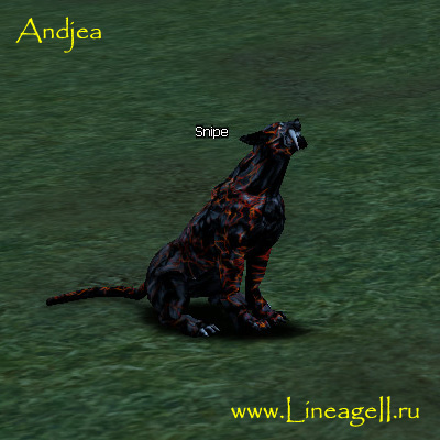 Snipe