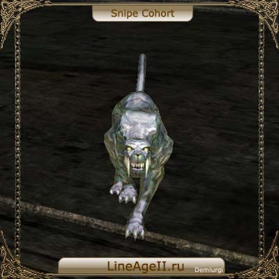 Snipe Cohort