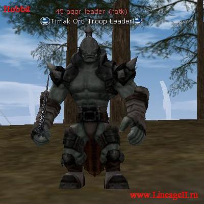 Timak Orc Troop Leader