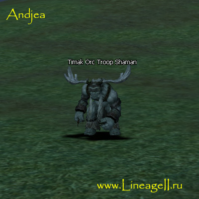 Timak Orc Troop Shaman