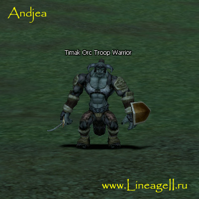 Timak Orc Troop Warrior