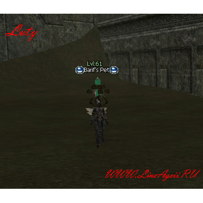 Barif's Pet