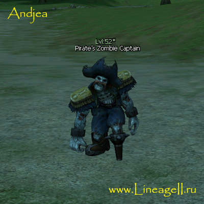 Pirate's Zombie Captain