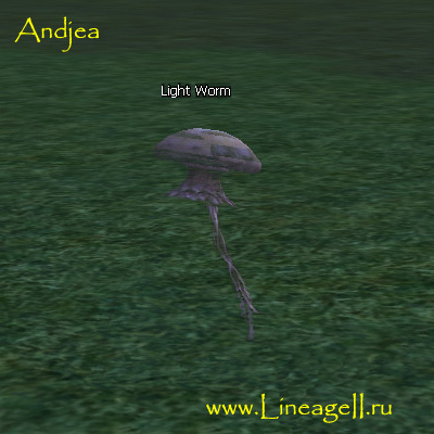 Light Worm