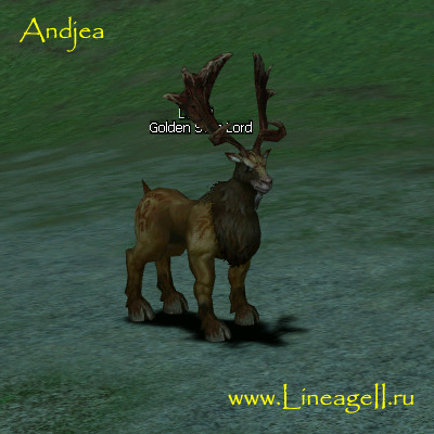 Golden Stag Lord