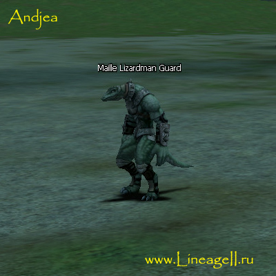 Maille Lizardman Guard