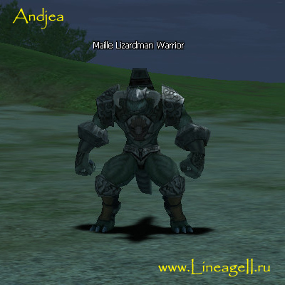Maille Lizardman Warrior