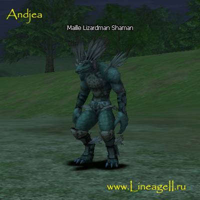 Maille Lizardman Shaman