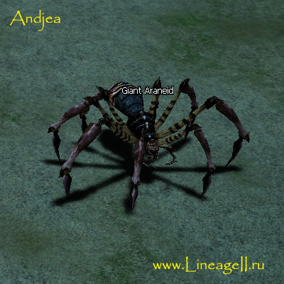 Giant Araneid