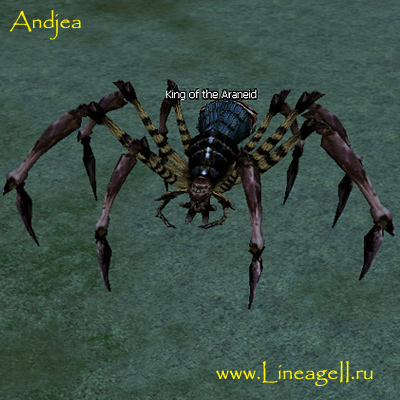 King of the Araneid