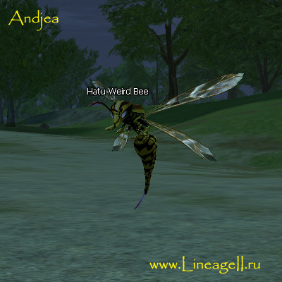 Hatu Weird Bee