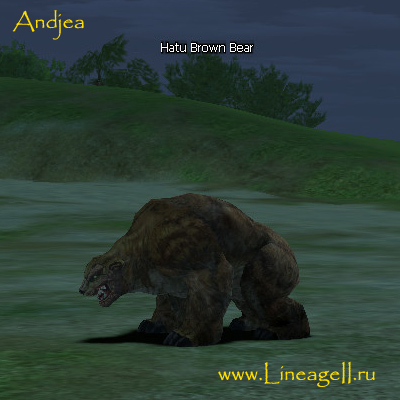Hatu Brown Bear