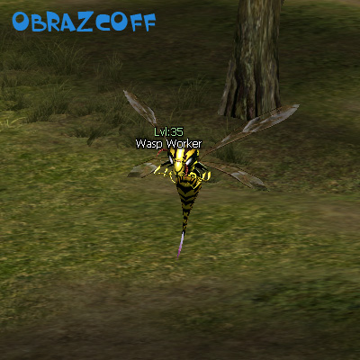 Wasp Worker