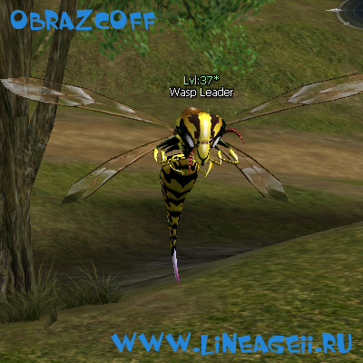 Wasp Leader