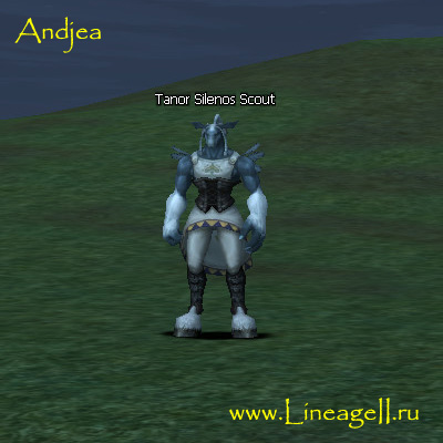 Tanor Silenos Scout