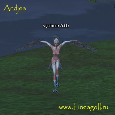 Nightmare Guide