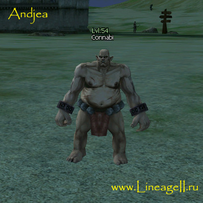 Connabi