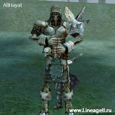 Past Knight