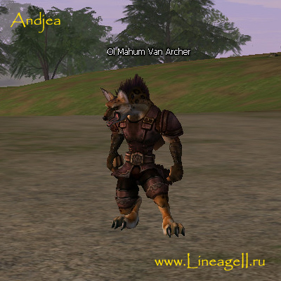 Ol Mahum Van Archer
