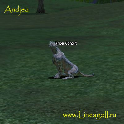 Snipe Cohort