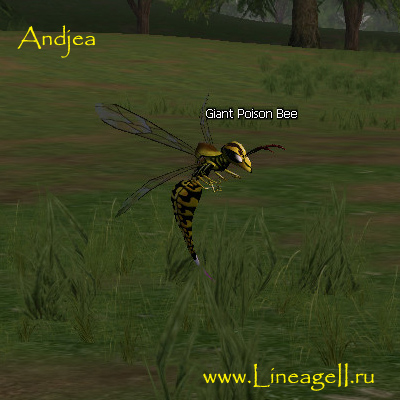 Giant Poison Bee