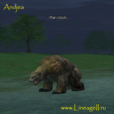 Plain Grizzly