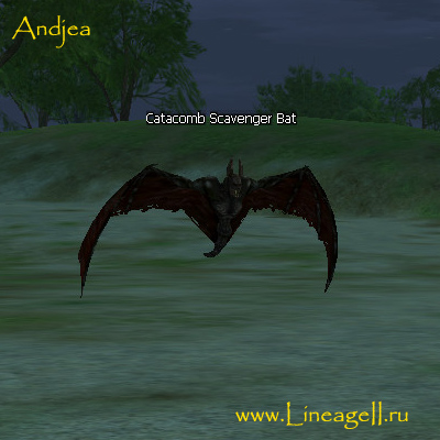 Catacomb Scavenger Bat