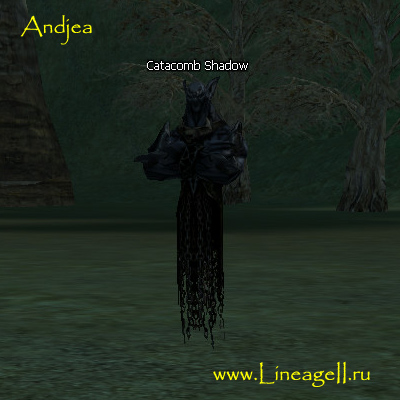Catacomb Shadow
