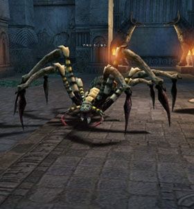 Purgatory Tarantula