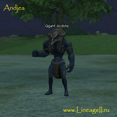 Gigant Acolyte