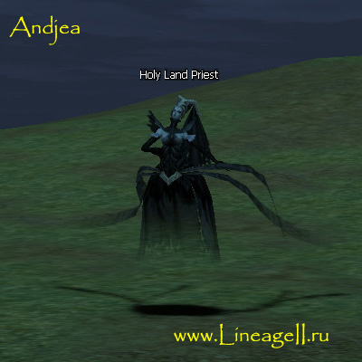 Hallowed Priest