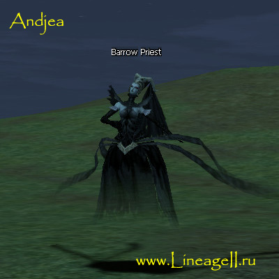 Barrow Priest