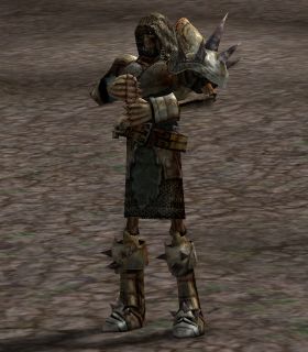 Cave Noble Ant